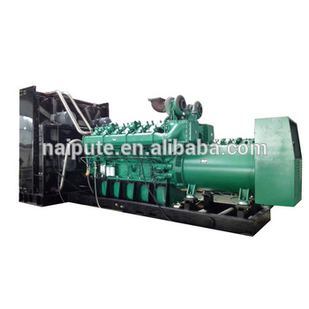 NPT brand gas generator 1mw