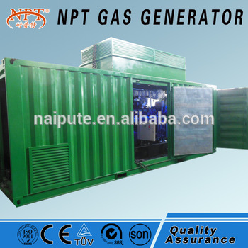 NPT brand gas generator 1mw
