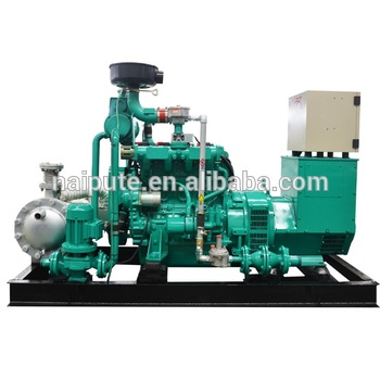 bio gas engine generator 40kW