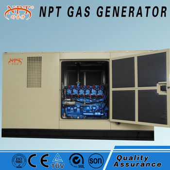 Customized CE approved <font color='red'>silent</font> 50kw <font color='red'>genset</font> gas lpg