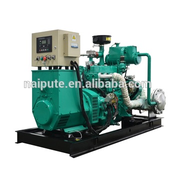 10kW 300kW biogas natural gas genset generator with CE certificate