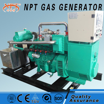40kW CE Approved Natural Gas Electric Generator
