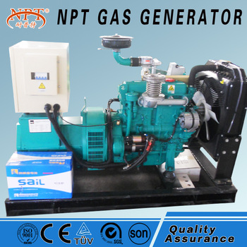 Natural gas generator 30kW