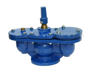 Double Exhaust Valve