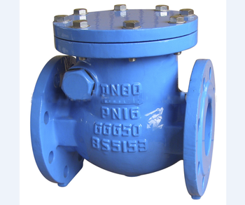 BS5153 metal seated swing check valve