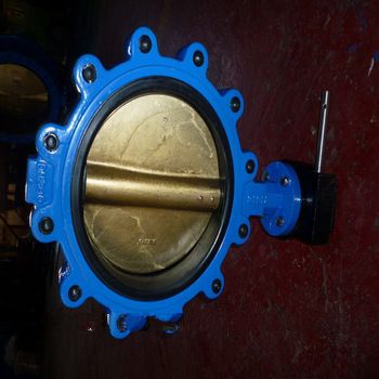 Series F171 Lug Type Butterfly Valve