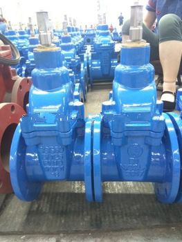 <font color='red'>Flanged</font> <font color='red'>Resilient</font> <font color='red'>Seated</font> <font color='red'>Gate</font> <font color='red'>Valve</font> PN10 PN16