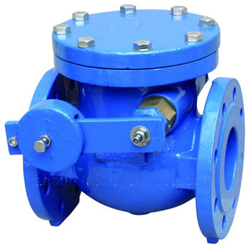 <font color='red'>Swing</font> <font color='red'>Check</font> <font color='red'>Valve</font>