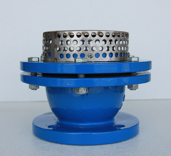 Foot valve with <font color='red'>strainer</font>