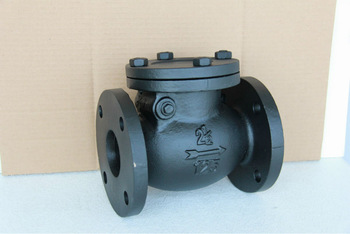 american standard ansi <font color='red'>cast</font> <font color='red'>iron</font> swing <font color='red'>check</font> <font color='red'>valve</font>