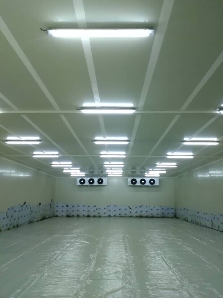 fruit CA. cold storage