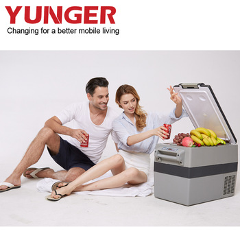 42Liter Electric picnics fridge cooler Dual 110V AC House and 12V DC Vehicle Plugs