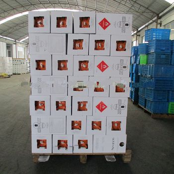 5kg/6.5kg cylinder r 600 gas refrigerants (R290/R600a) for sale