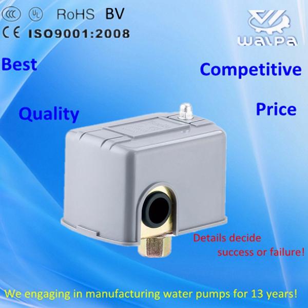 Water Pump with Automatic Pressure Switch