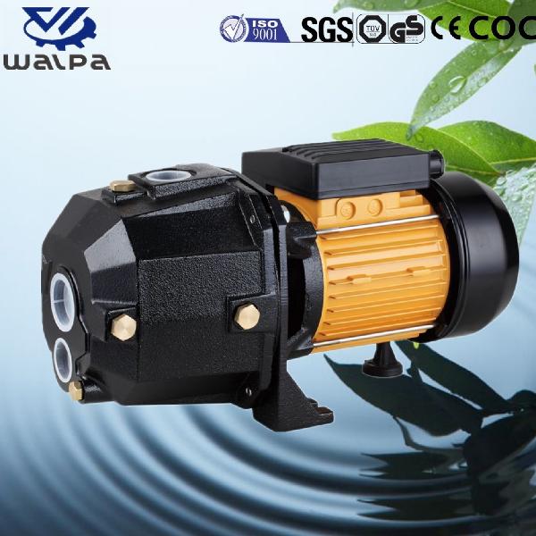 Deep Well Self-Priming Water Pumps