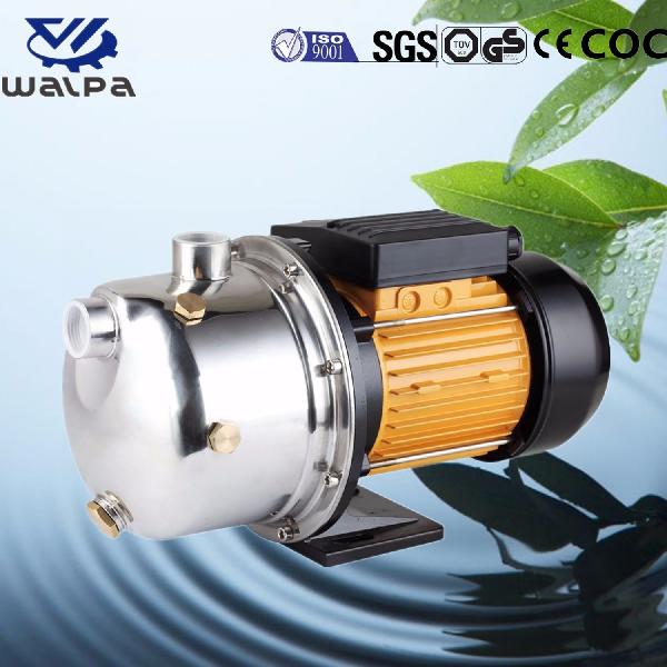 Js Series Pump for Pumping Fruit