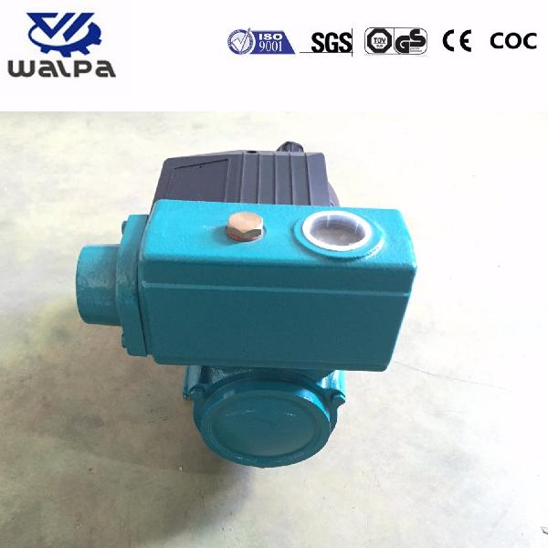 Electric Water Pump for House with Full Copper Wire