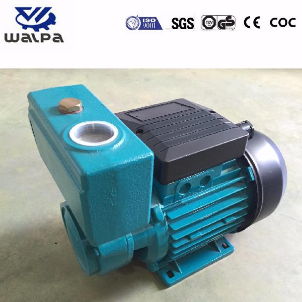 Fujian Water Pump with Best Quality & Good Price