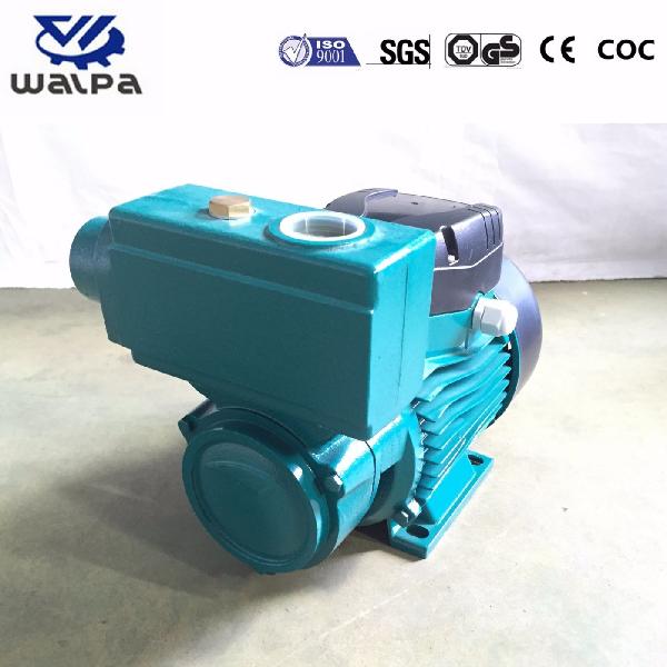 TPS70 0.75HP Self-Priming Pumps with Ce Certification