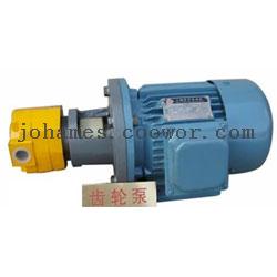 BBG Cast Iron Small Gear Oil Pump - Coowor.com