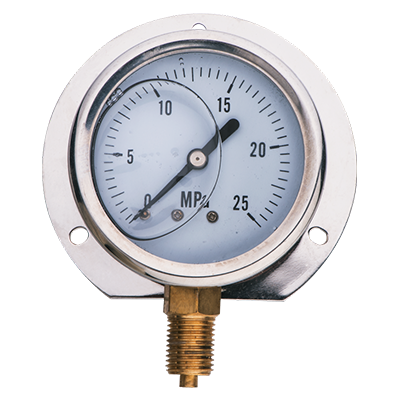 Shock-Proof Pressure Gauges JS-<font color='red'>307</font>