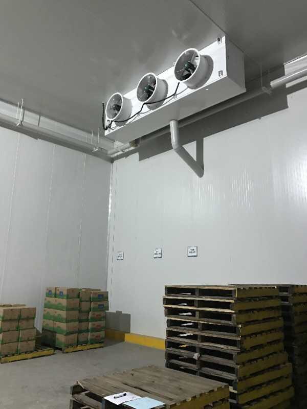 ammonia blast freezing evaporative air cooler for meat cold room