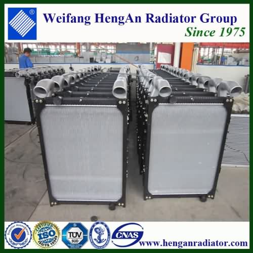 Whole car radiator assembly