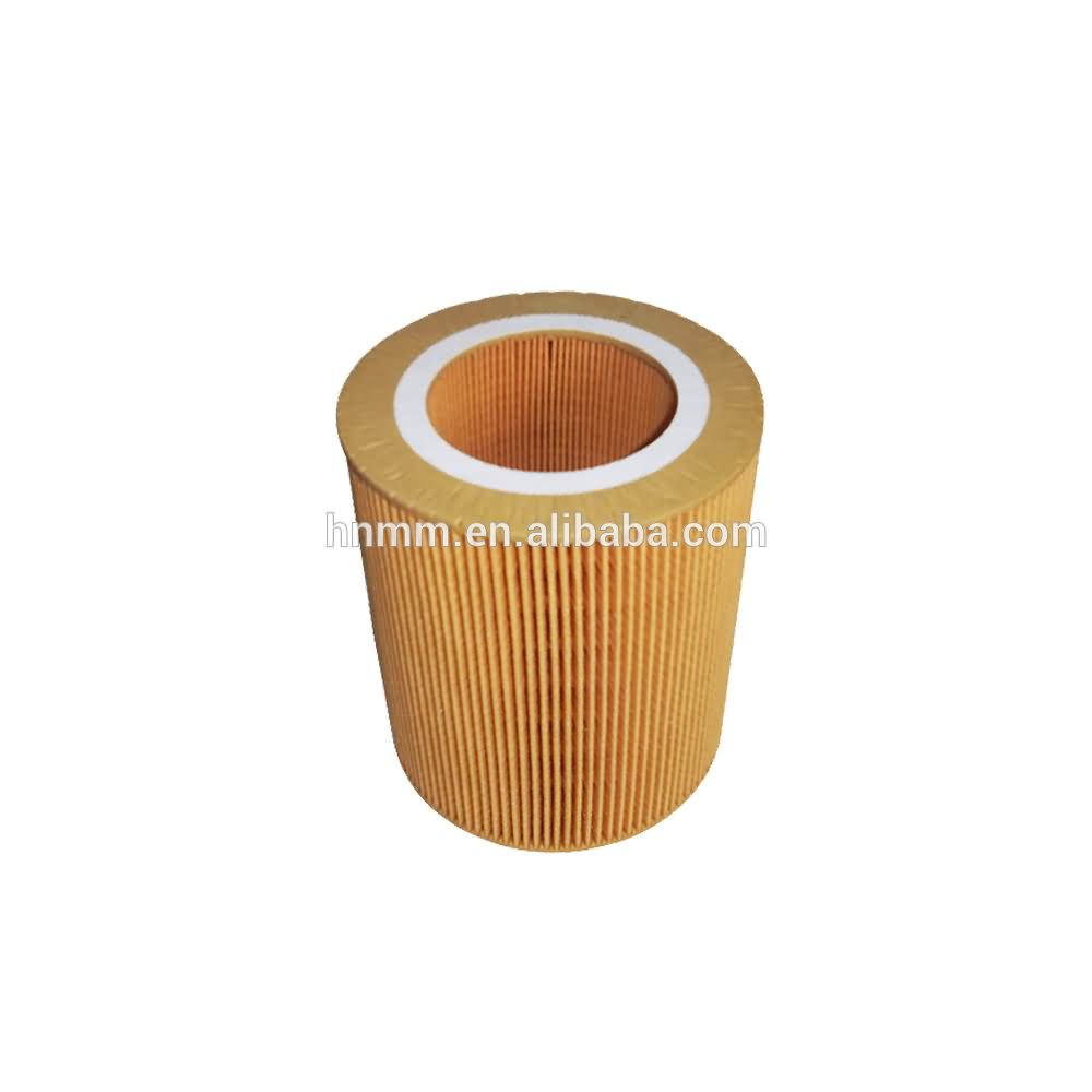 Fast Delivery Mann C1250 Replacement Compressed intake Air Filter Factory in China