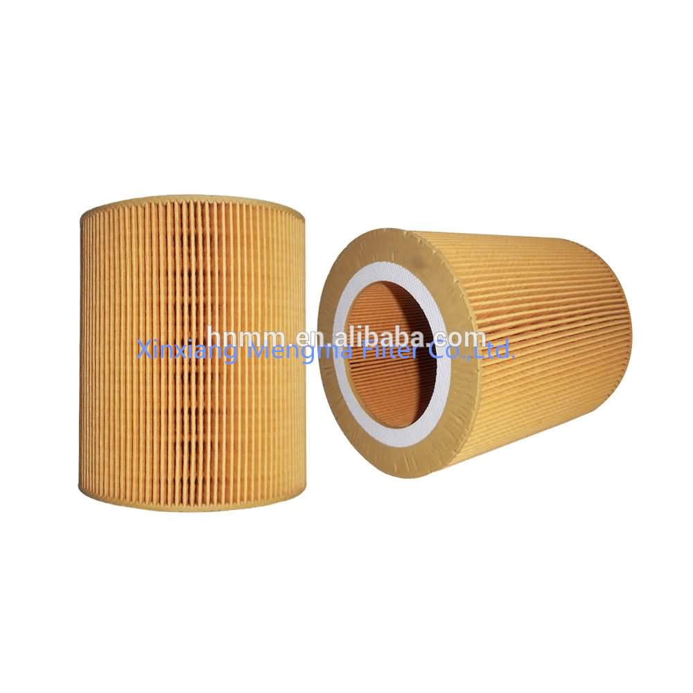 Fast Delivery Mann C1250 Replacement Compressed intake Air Filter Factory in China