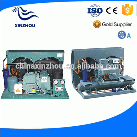 Bitzer cold room condensing unit / Quality certified low prices condensing unit XZLNBF-04L