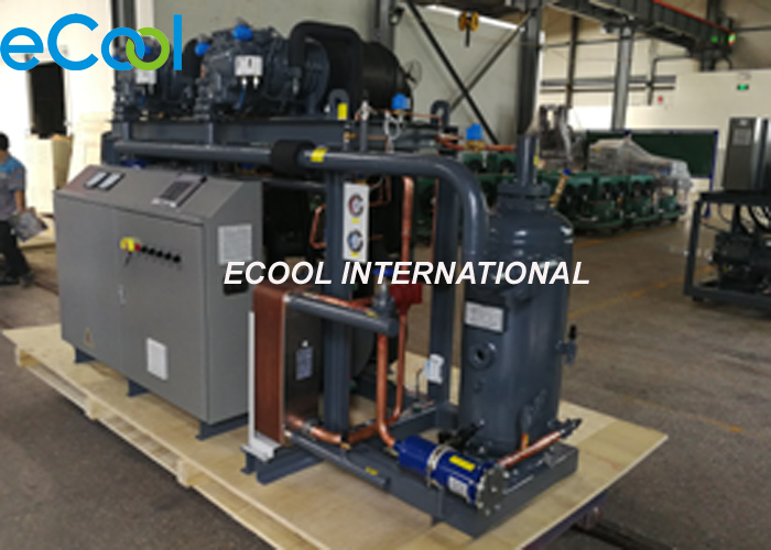 Refrigeration equipment Compressor Unit for Frozen Food Cold Storage