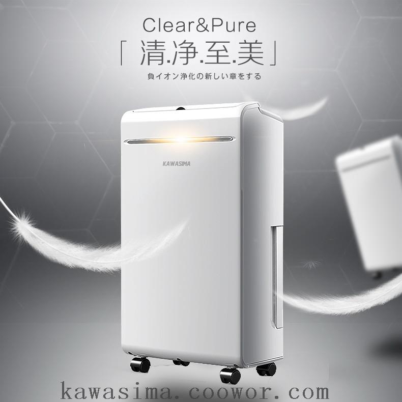 10L/Day Domestic Dehumidifier 10L Portable Dehumidifier 10 Liter Home Dehumidifier