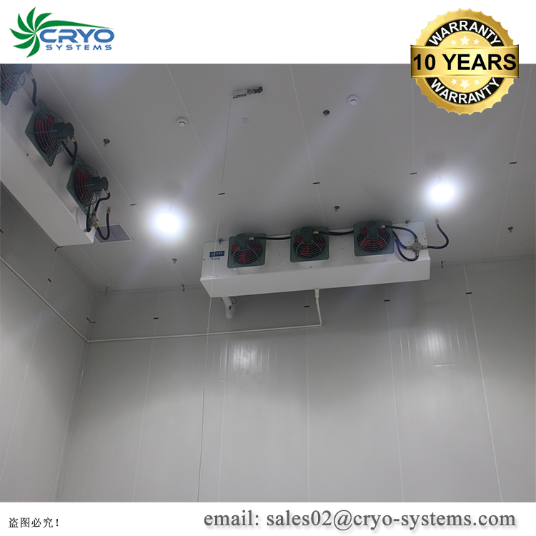 building cold storage room for seafood