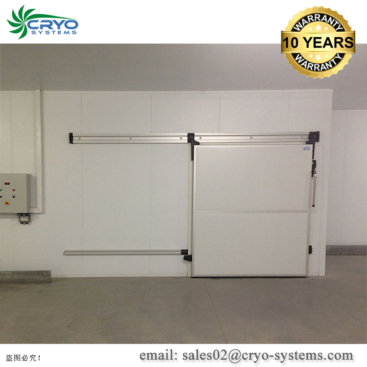 blast freezer for fish mini cold storage for chicken meat