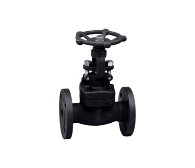 API FORGED FLANGE GLOBE VALVE