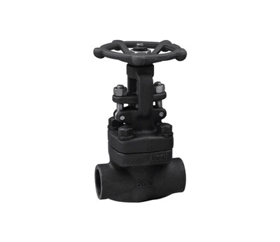 FORGED STEEL GLOBE VALVE