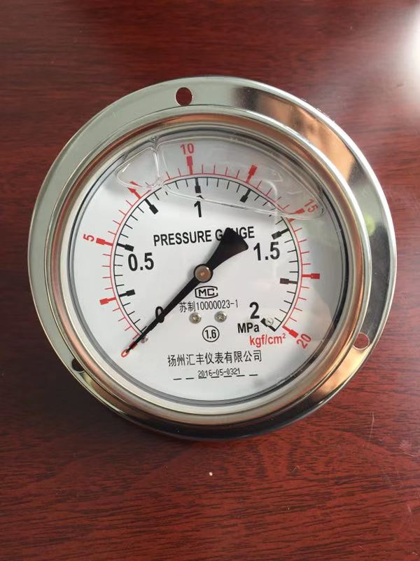 Y60ZT Liquid filled gauge