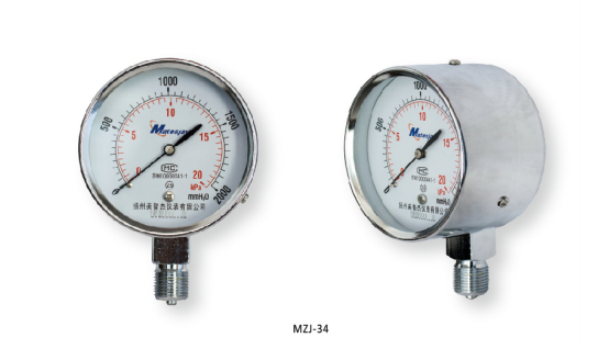 Capsule Pressure Gauge