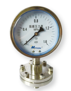 Diaphragm Pressure Gauge