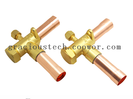 Air condition service valve