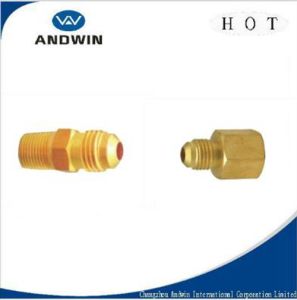 Hardware Nuts Auto Parts Brass Nuts Brass Pipe Fitting