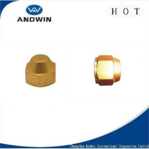 Brass Fitting Hex Nut for Fastener/Frozen Hose/Pipe Fitting/Copper Products/Refrigerator Parts
