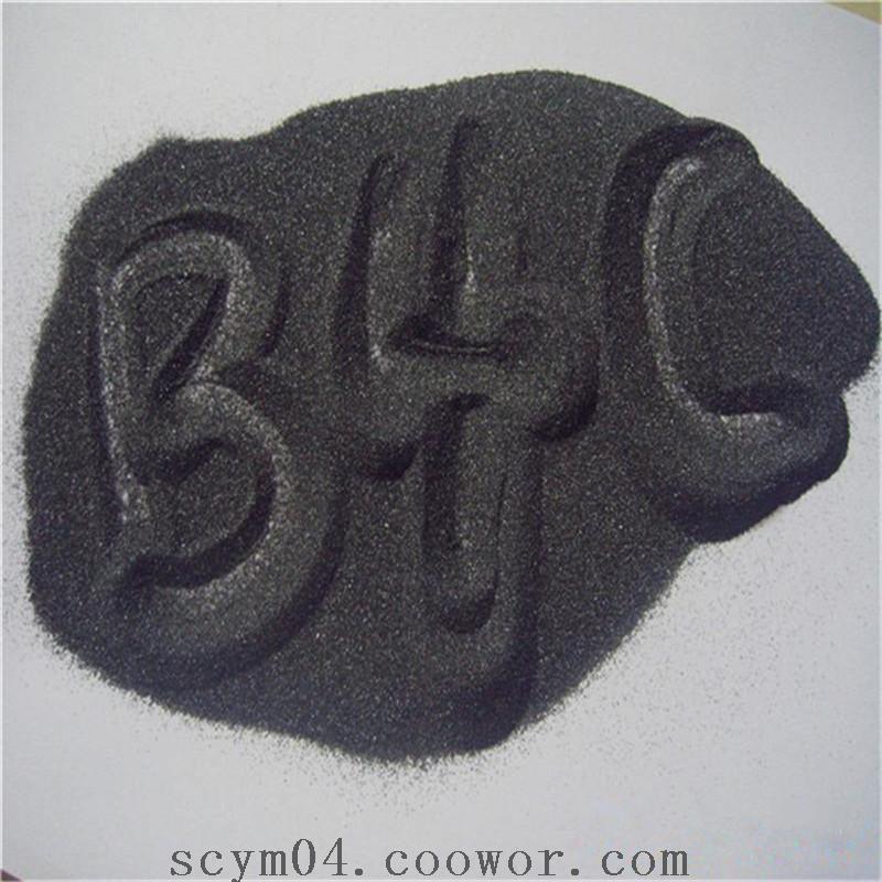 F46 b4c make Boron carbide nozzle and seal ring boron carbide