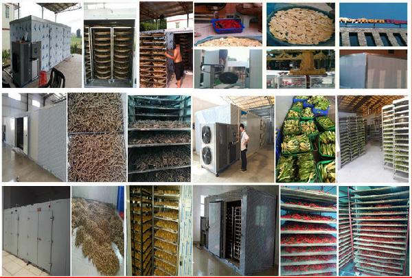 Super Energy Saving Dryer Heat Pump for Fruit