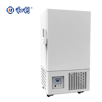 598Liters upright -60 degree commercial ULT freezer with high quality
