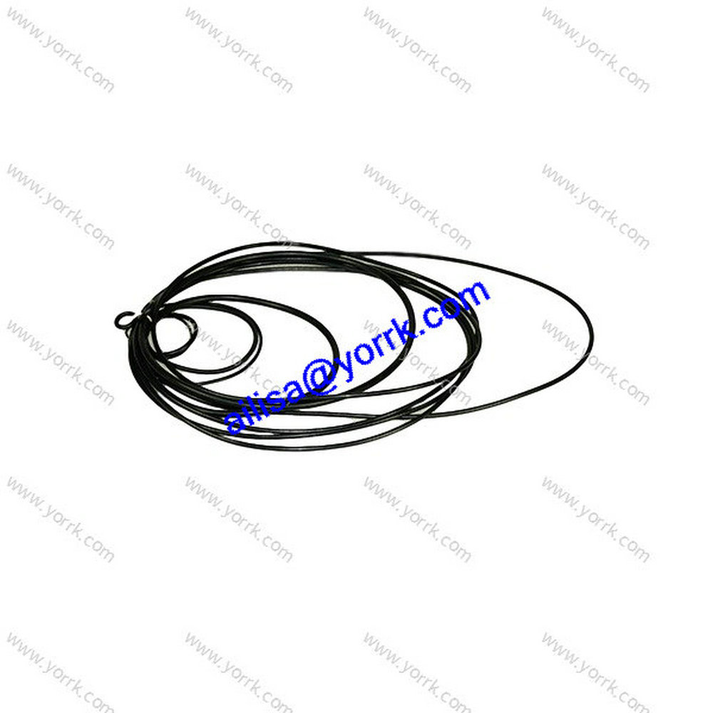 06N Chiller refrigeration application spare parts 06N screw compressor Carrier gasket kit