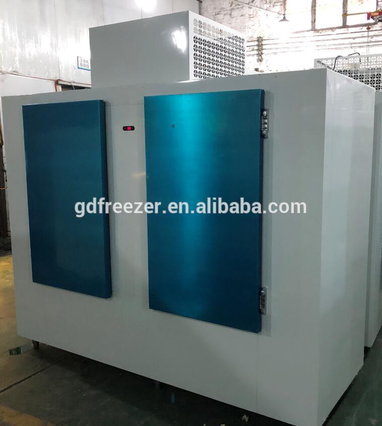 Commercial freezer/refrigerator different capacity ice storage bin