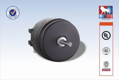 50W Cast Iron Double feet Unit Bearing Motor