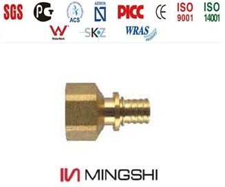 Pex Pipe Fittings with Certificate - Female Straight Connector