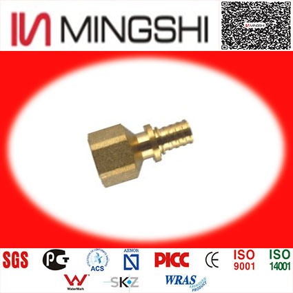 <font color='red'>Female</font> <font color='red'>Straight</font> <font color='red'>Connector</font>- Pex Fittings